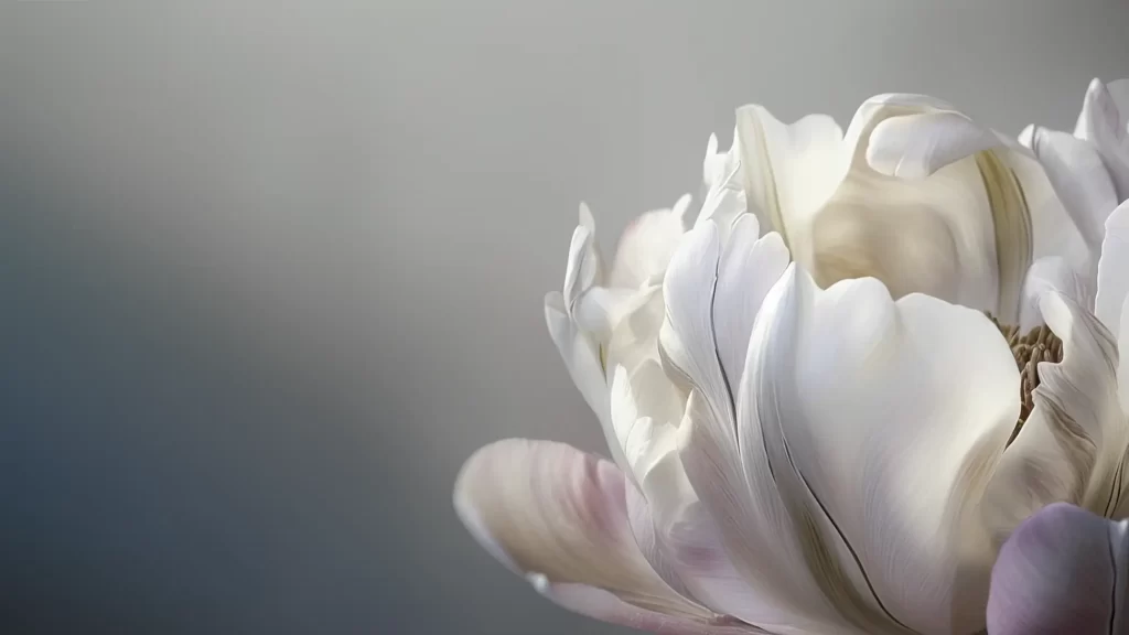 Mindful Garden